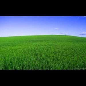 Meet your Posher, Reyna👸🏻